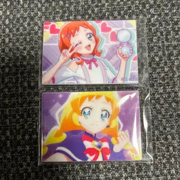 원더풀 프리큐어 감사제 마그넷 이누카이 이로하 큐어 프렌디