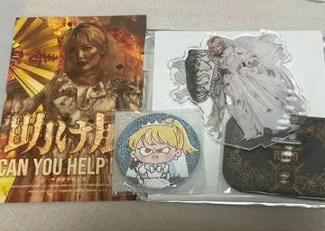 헤이세이 플라밍고 아크릴 스탠드 캔 거울 미니 포스터 리호 RIHO