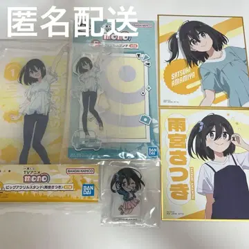 아메미야 사츠키 세트