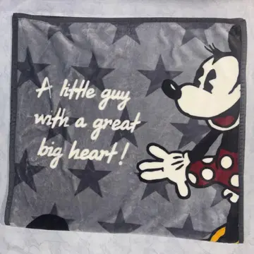 Franc franc 디즈니 미키 미니 담요