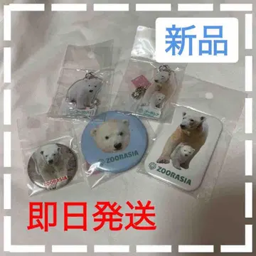 요코하마 동물원 주라시아 북극곰 세트