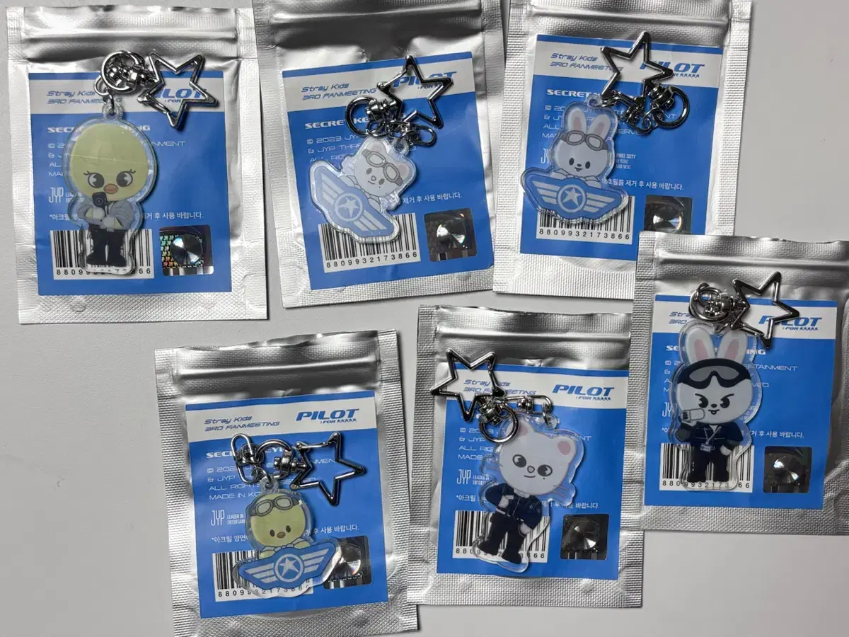Stray Kids Pilot Fanmeeting Random Acrylic Keyring