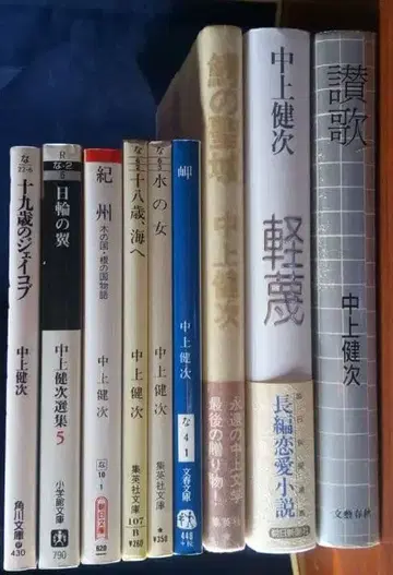 나카가미 겐지 소설 9권