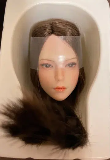 SDH-030D 인형 헤드 Super Duck 1/6 커스텀 인형