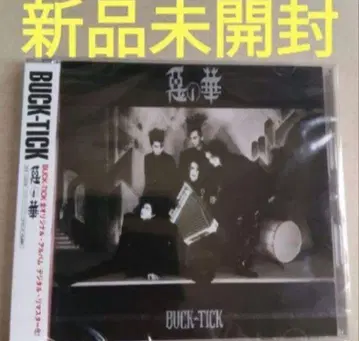 미개봉 새상품 악의 꽃 디지털 리마스터반