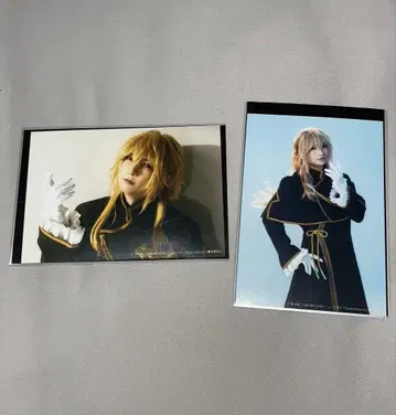 빵뮤 빈센트 나이트레이 사사키 요시히데