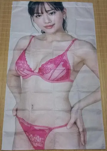 아야세 하루카 노렌 미사용 새상품!