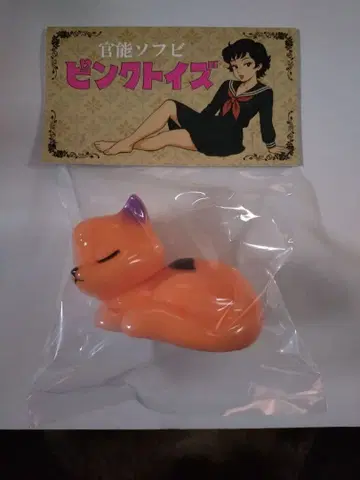 레드샤크 핑크토이즈 뒷봄고양이 할로윈 버전