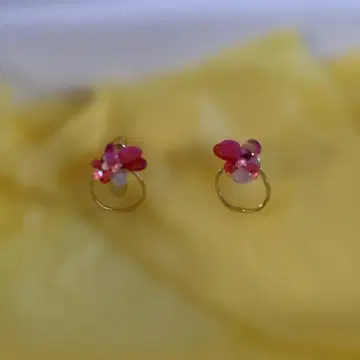 cilsoie 귀걸이 한정판