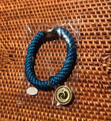 스피도 JAM'S 복권 코인 헤어타이 블루