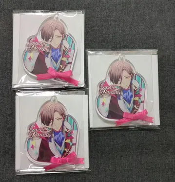 오토메이트 큐피파라 리본 메레니스 아크릴 플레이트