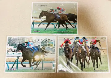 도스포 경마 사진 3점 세트! 아리마 기념 에프포리아 이퀴녹스 레가레이라