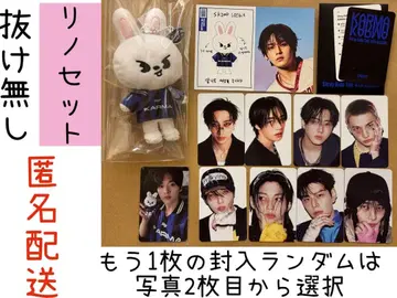 StrayKids KARMA SKZOO 리빗 리노 세트