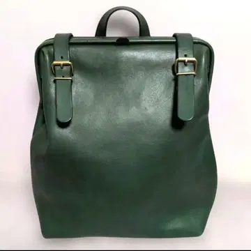 레어 HERZ 럭스 백팩(R-143) 한정판 보틀 그린