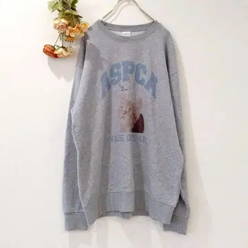 ASPCA 고양이 프린트 트레이닝복 [XL] 동물 미국 맨투맨 면