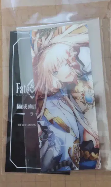 FGO 최종 재림전 편성 화면풍 카드 네모/노아