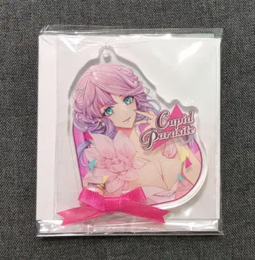 오토메이트 큐피파라 리본 리넷 아크릴 플레이트