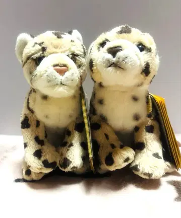 레오파드 페어 봉제 인형 내셔널지오그래픽