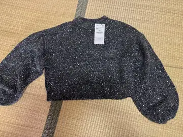 ZARA 반짝반짝 니트
