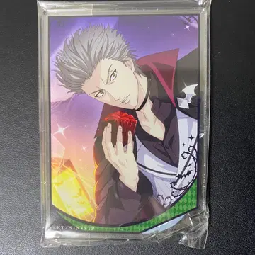 신 테니스의 왕자님 테니프리 테니라비 아크릴 스탠드 할로윈 아쿠츠 진