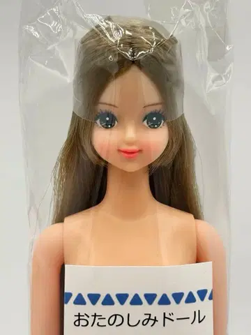 미라이 리카짱 캐슬 오타노시미 인형 초롱 헤어 제니 프렌드