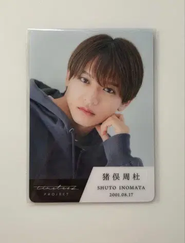 이노마타 슈토 타입로