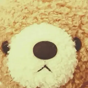 귀여운 곰 봉제 인형을 찾으시는 분께