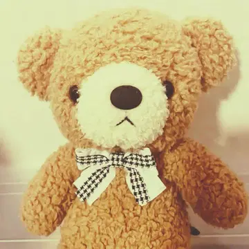 귀여운 곰 봉제 인형을 찾으시는 분께