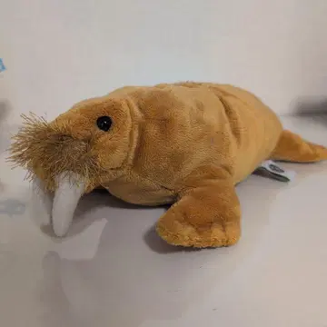 바다코끼리 봉제 인형 카롤라타