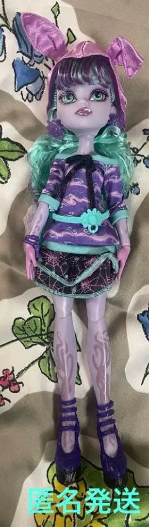 익명 배송 마텔 몬스터 하이 TWYLA