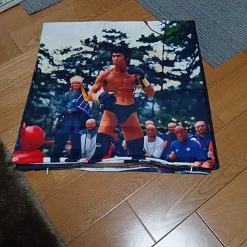 브루스 리 불타라 드래곤 쿠션