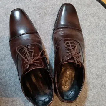 STANDUKE 다크 브라운 가죽 신발