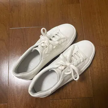 ZARA 화이트 스니커즈 37 새상품