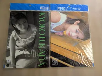 [ 미개봉 미사용 ] 후카다 쿄코 책받침 2장 세트 B5