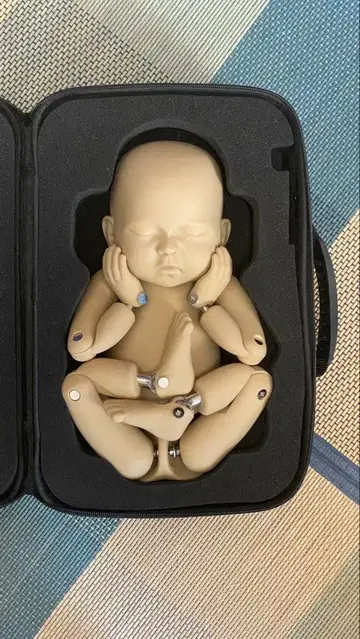 뉴본 사진 인형, 가동식 관절 캐링 케이스 포함