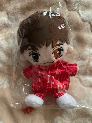 트라제 미야치카 카이토 하피누이 패밀리 클럽 스토어