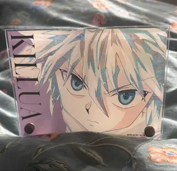 헌터헌터 Ani-Art 키루아 아크릴 스탠드 패널