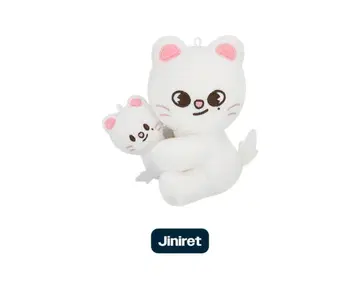 CELEBRATE SKZOO MAGNET PLUSH SET 지니레트
