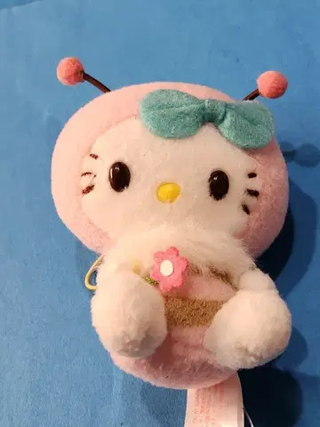 당시물 헬로키티