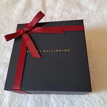 Daniel Wellington 골드 목걸이