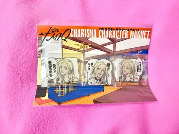 카리스마 테라 마그넷 세트