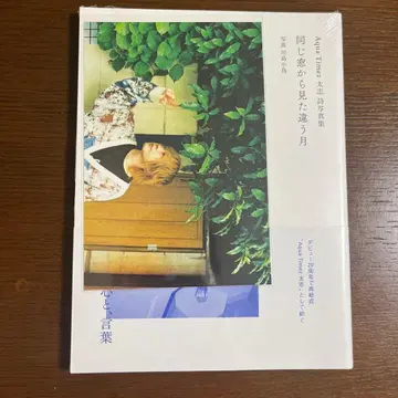 같은 창으로 본 다른 달 Aqua Timez 후토시 카와시마 코토리 시집