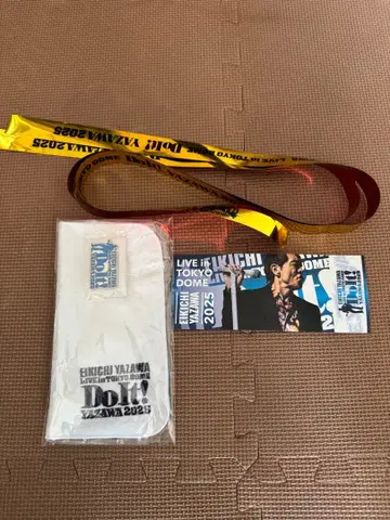 야자와 에이키치 LIVE DoIt! TOKYO DOME 2025