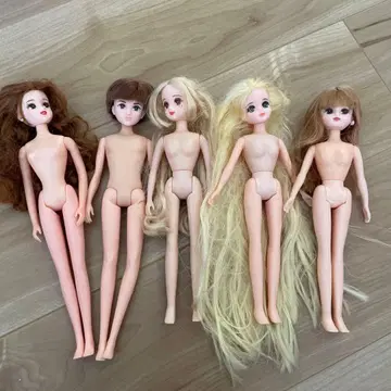 리카짱 인형 본체 5점 세트 프린세스
