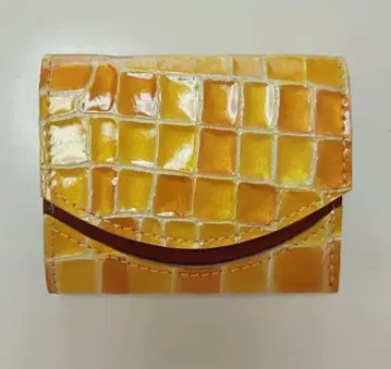 콰트로 갓츠 작은 지갑 페케뇨 스테인드 글라스