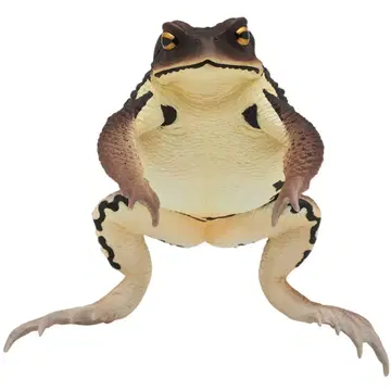 네이처 테크니컬러 두꺼비 흑갈색