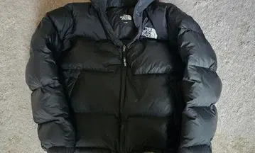 THE NORTH FACE 다운 자켓 L100