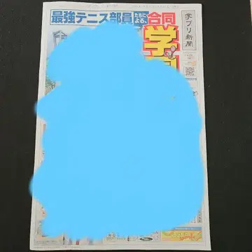 신 테니스의 왕자님 프로젝트 신문 1장 (양면 인쇄)