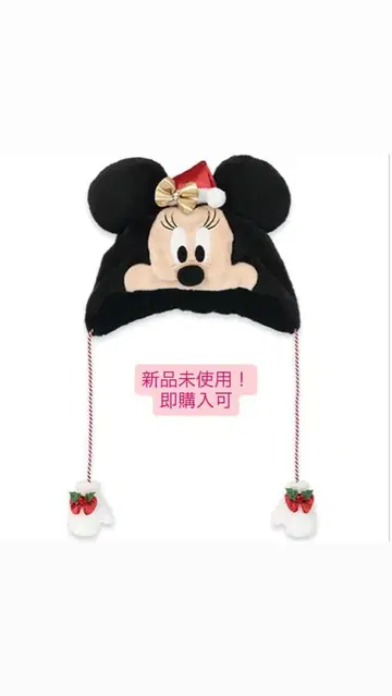 디즈니 팬 캡 2025