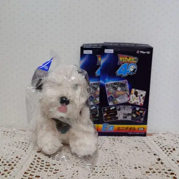 후류 복권 백 투 더 퓨처 아인슈타인